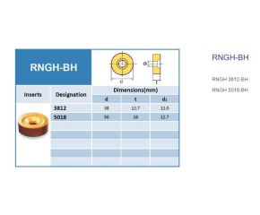 RNGH-BH